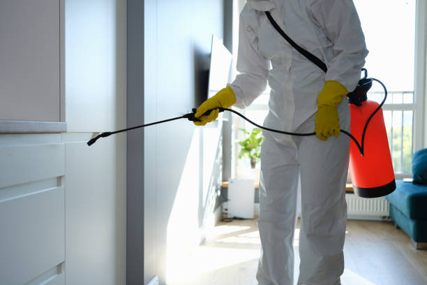 Best Mold Remediation  in Martinsvle, IL