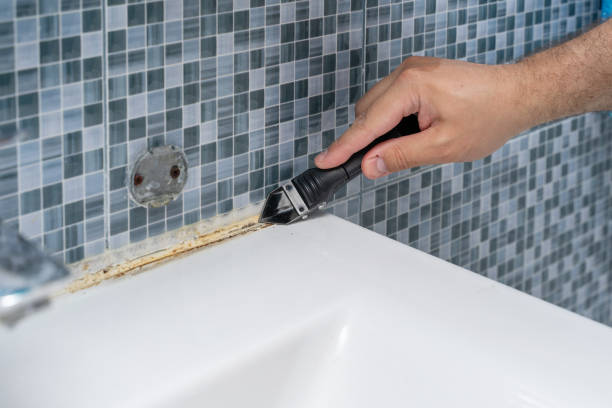 Best Home Mold Removal  in Martinsvle, IL